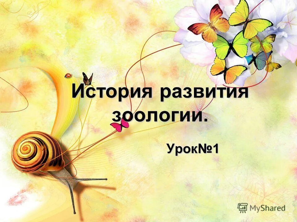Наука о строении животных. Наука о строении животных