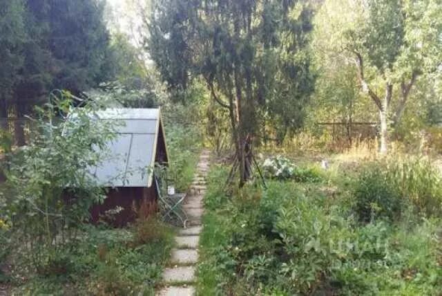 Морозки дмитровский район. Снт в подлипках одинцовский район. Недорогая дача. Дача морозки. Дача на озере сенеж.