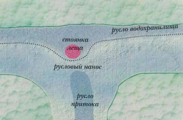 Где леща зимой. Стоянки леща зимой. Места стоянки леща на реке. Место стоянки леща зимой на водохранилище. Где искать леща зимой на водохранилище.