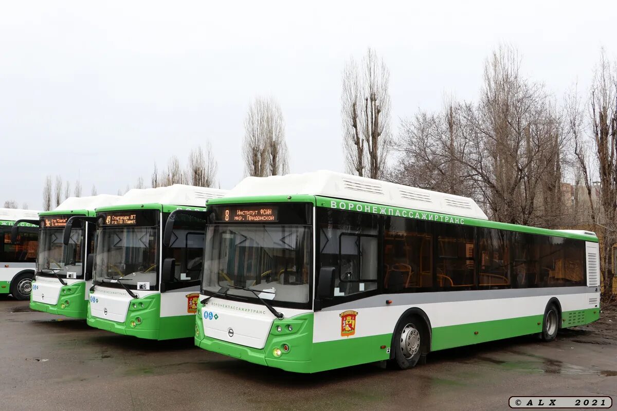 Автобус 1033 кленово. Автобус 1033 кленово. Автобус 1033 подольск. Автобус 1033 кленово. Автобус лиаз 256.