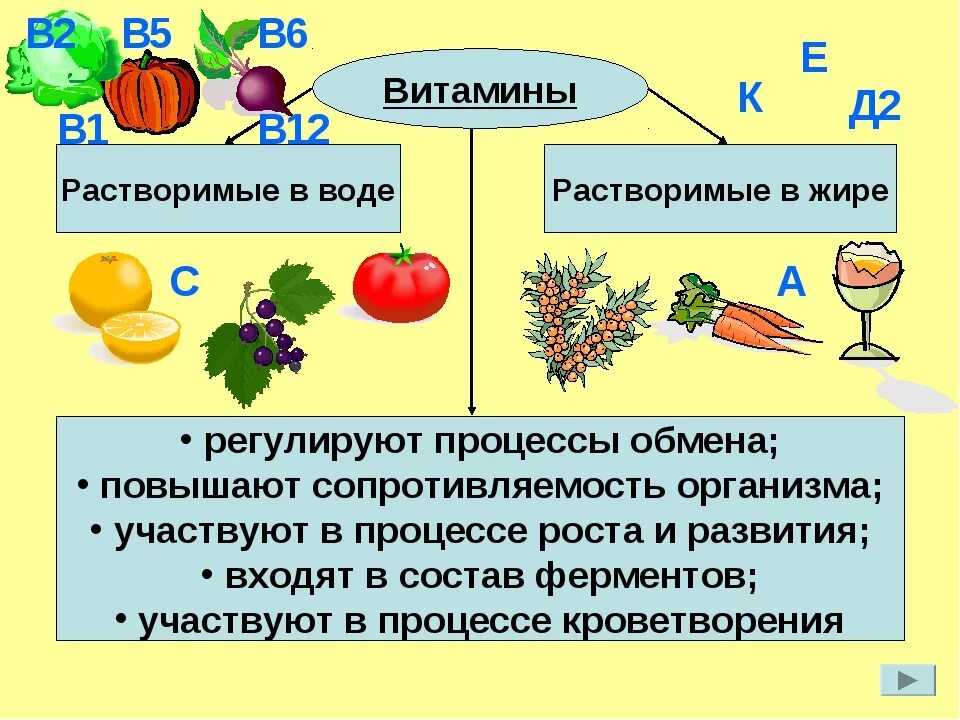 Характеристика водорастворимых витаминов. Водорастворимые и жирорастворимые витамины. Жира и водорастворимых витаминов. Витамины нерастворимые в жирах. Витамины растворимые в воде и в жирах.