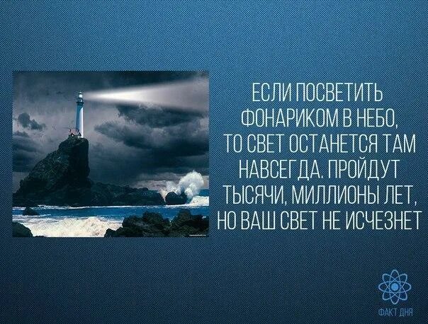 Останься навсегда. Посветить фонариком. Навсегда останется пустой стул. Не пускайте людей в свою душу. Всегда останется его пустой стул.