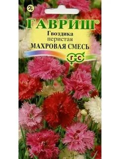 Гвоздика махровая семена
