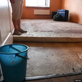 Кот затопил квартиру поляку