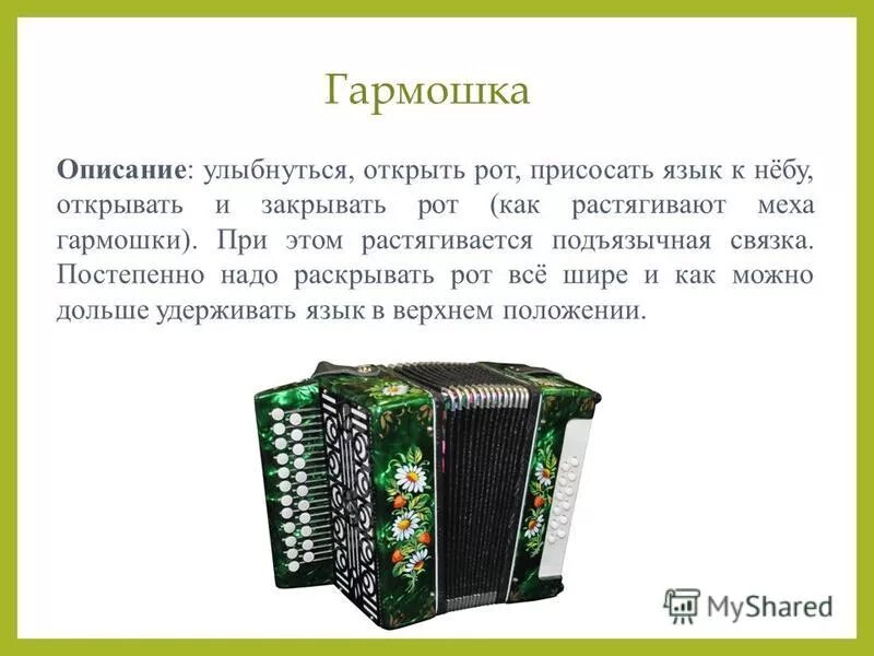 Русские народные музыкальные инструменты гармошка. Тульская гармонь описание. Язычковый клавишно-пневматический музыкальный инструмент. Тульская гармонь. Символ русской культуры гармошка.