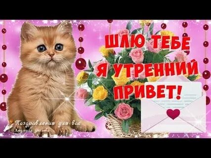 Привет 15
