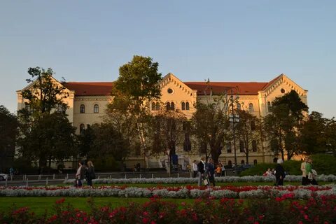 Факультет c