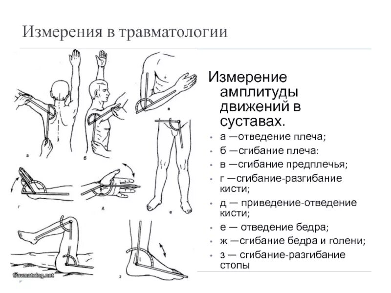 Изолированное положение. Измерение амплитуды движений в суставах конечностей. Объем движений в суставах верхней конечности. Амплитуда движений в суставах и объем движений. Оценка амплитуды движений в суставах в угловых градусах.