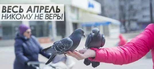 Весь апрель никому не верь. Весть апрель не кому не верь. Апрель апрель никому не верь. Весь апрель никому неверь.