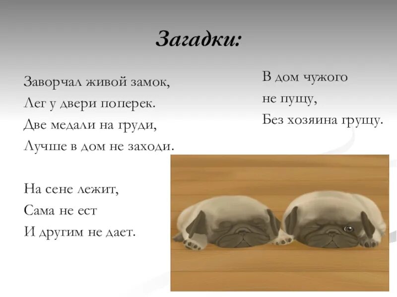 Что означает слово собака. Загадка заворчал живой замок лёг у двери поперёк. Проект о слове собака. Проект рассказ о слове 3 класс русский язык. Проект рассказ о слове собака.