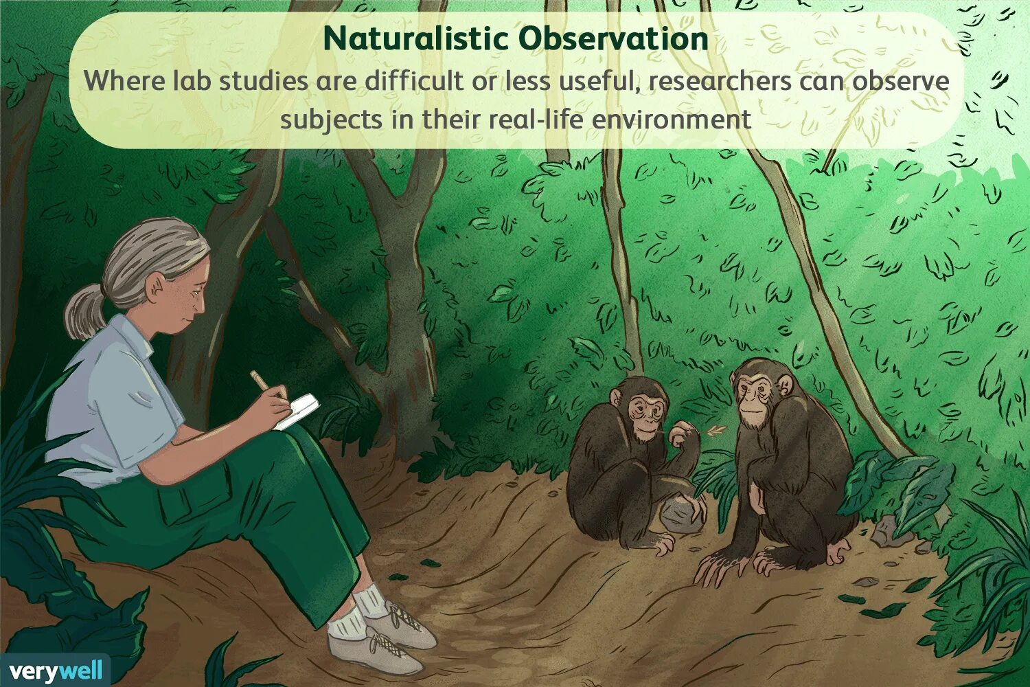 Naturalistic observation. Натуралистика на экослете. Observation examples. Observational research. A little difficult