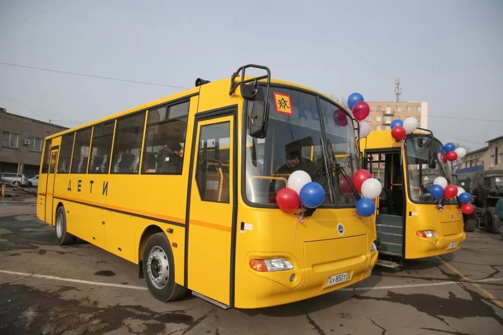 Школьный автобус. Школьные автобусы в России. Современный школьный автобус. Жёлтый школьный автобус.