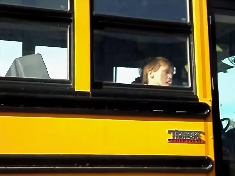 Школьные автобусы через окно.