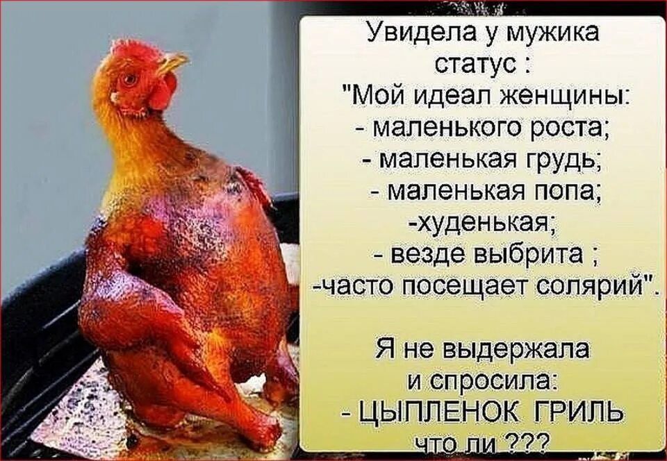 Высказывания о идеальных людях. Идеальных людей не существует цитаты. Идеальных людей не бывает цитаты. Статусы идеал. Фразы про идеал.