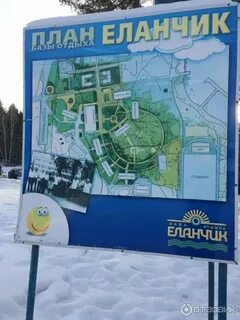 Характеристика сорта еланчик
