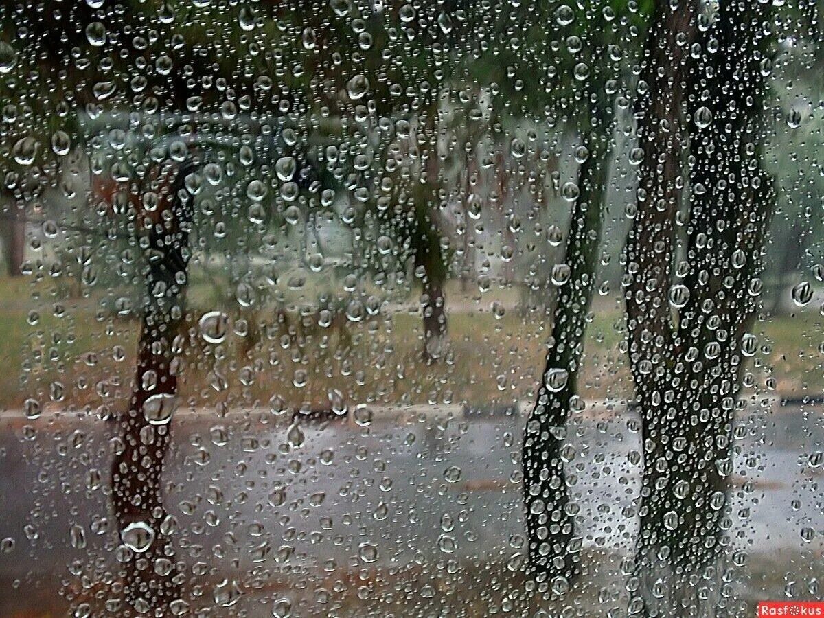 Сегодня целый день шел дождь. Дождь за окном. Дождь за окном фото. Дождливый день.