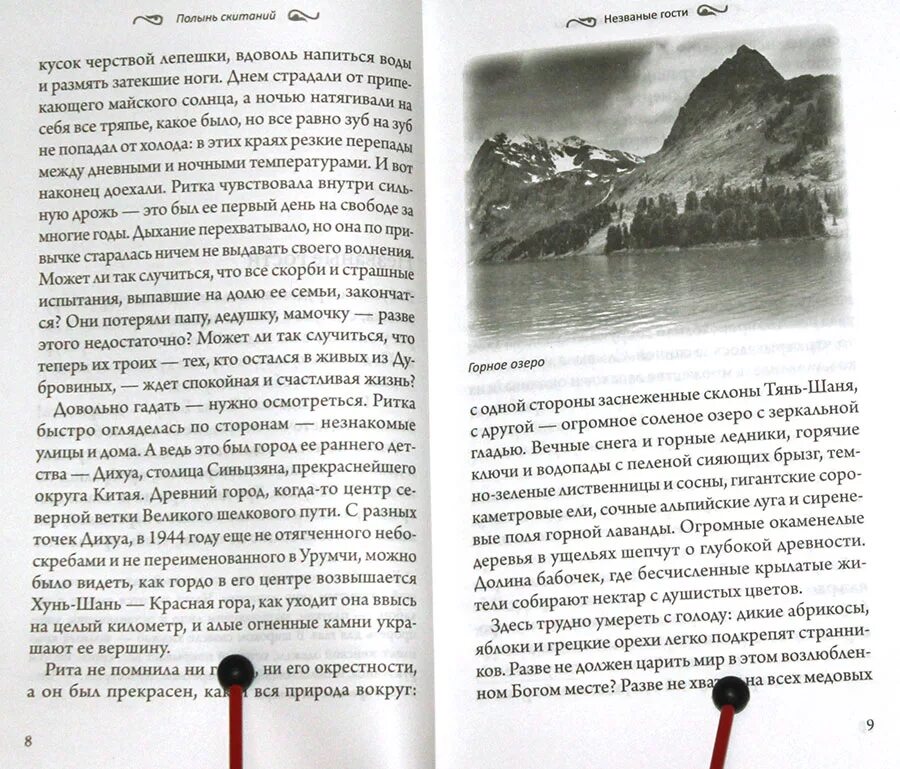 Книга Полынь. Иллюстрации к книге Полынь скитаний. Мне хорошо памятны