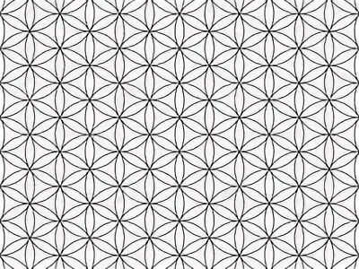 Паттерны жизни. Цветок жизни паттерн. паттерн геометрия тату. паттерны в жизни. паттерны индия.