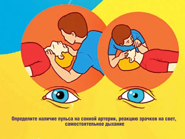 Как определить наличие пульса на сонной артерии. Как определить наличие пульса на сонной артерии