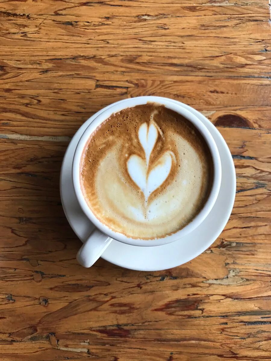 аватарки в кружке. кружка кофе в руках. кружка чая в руках. аватарки в кружке. аватарки в кружке.