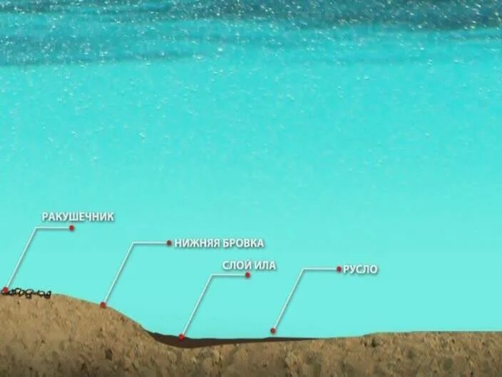 Лов на дне. Бровка дна реки. Рельеф дна для фидера. Бровка в водоеме что это. Перспективные места для ловли карпа.