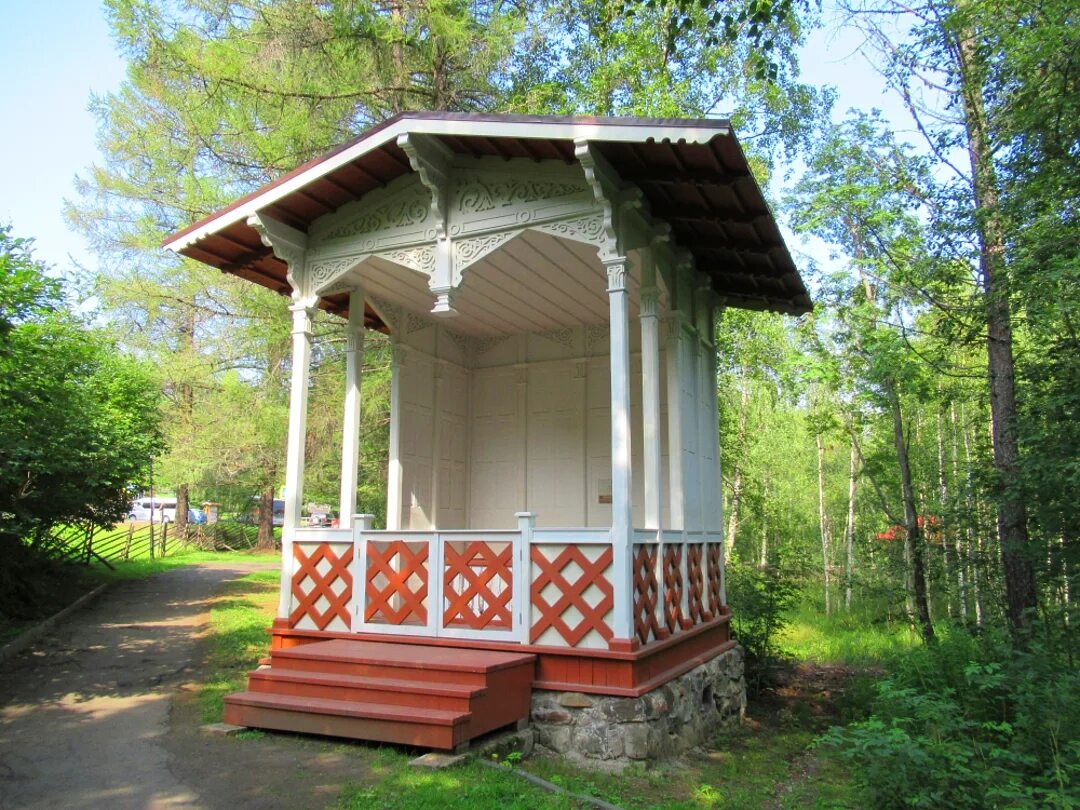 Бальнеологический курорт Марциальные воды. Марцианские воды в Карелии. Санаторий Марциальные воды Карелия. Марциальные воды Петрозаводск источники.