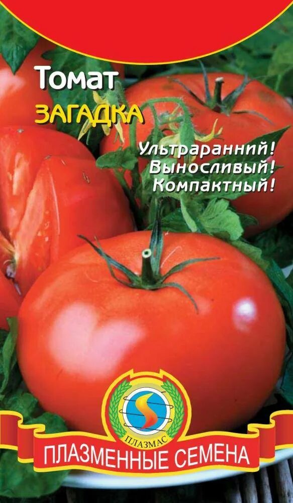 Томат Загадка: характеристика и описание сорта, фото, отзыв