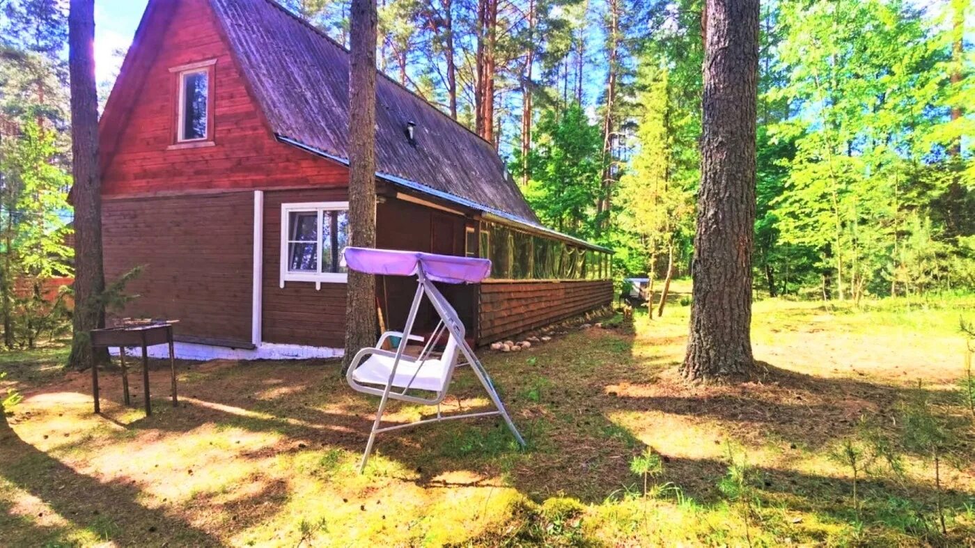 Сосновый бор озеро волго. Отдых на селигере тверская область. Турбаза сокол на селигере. Турбаза чайка тверская область. Озеро селигер деревня пески.