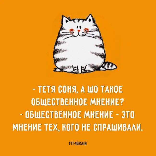 Шутки про Общественное мнение. Фитнес для мозга юмор. Цитаты про Общественное мнение. Общественное мнение юмор фразы. Прийти к общему мнению