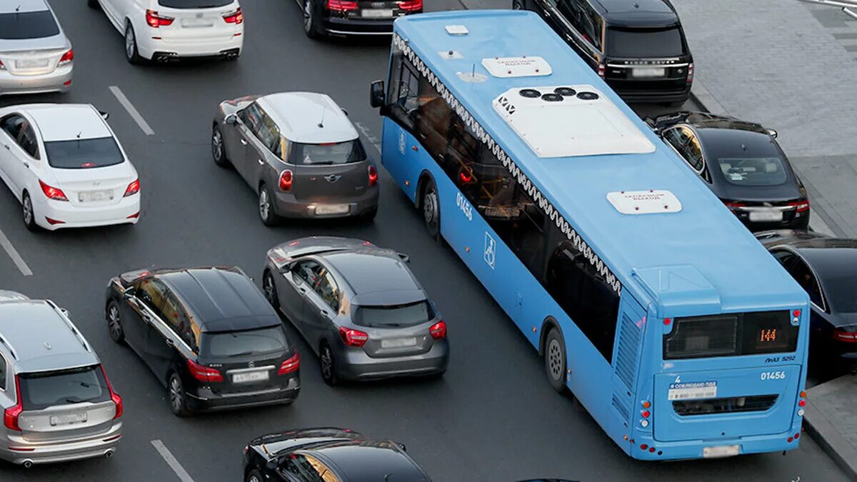 Автомобиль общественный транспорт. Общественный транспорт и автомобили. машины автобусы. городской автотранспорт. городской автомобильный транспорт.