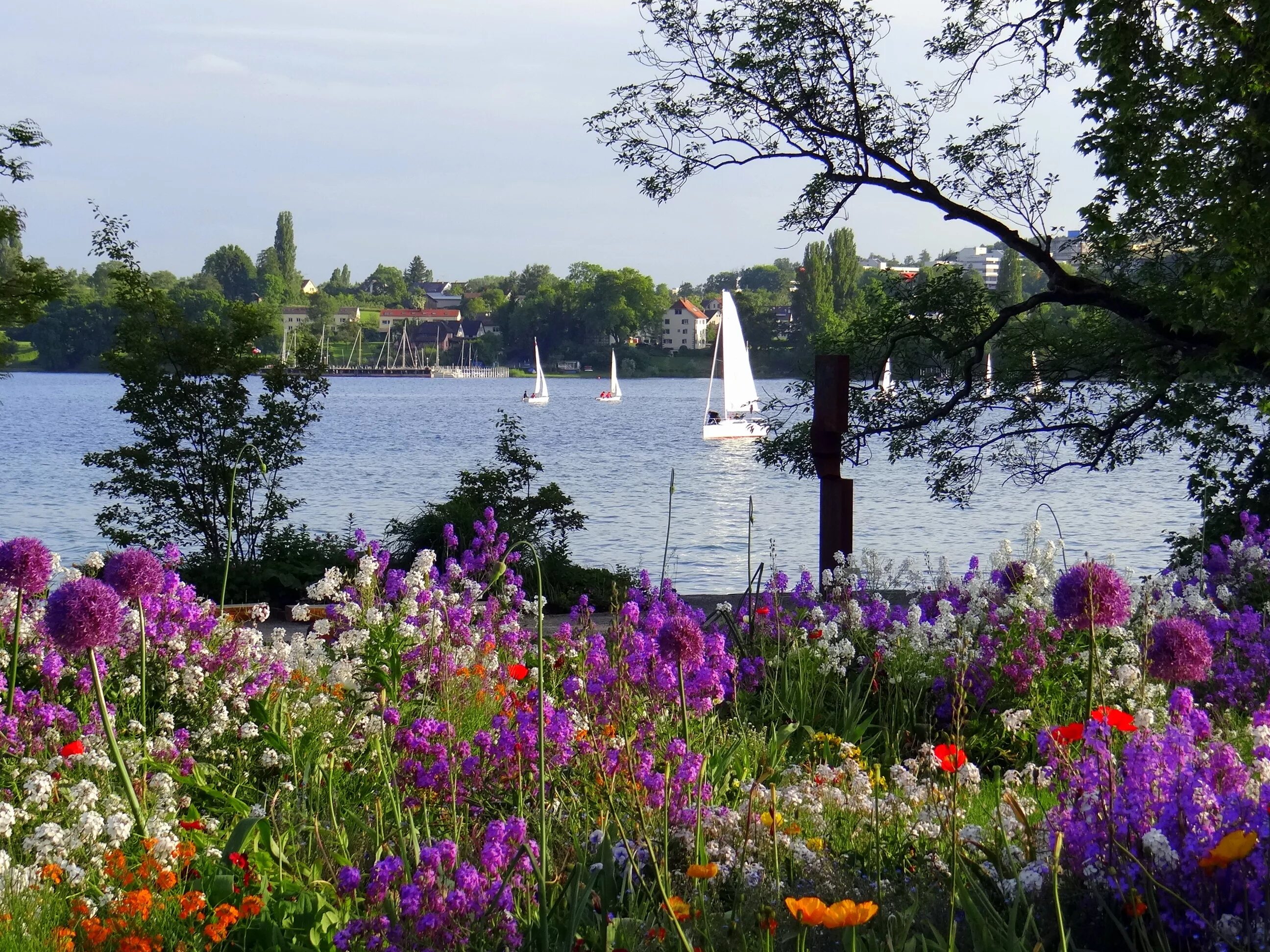 The Island of Flowers, Mainau, Lake Constance, Germany