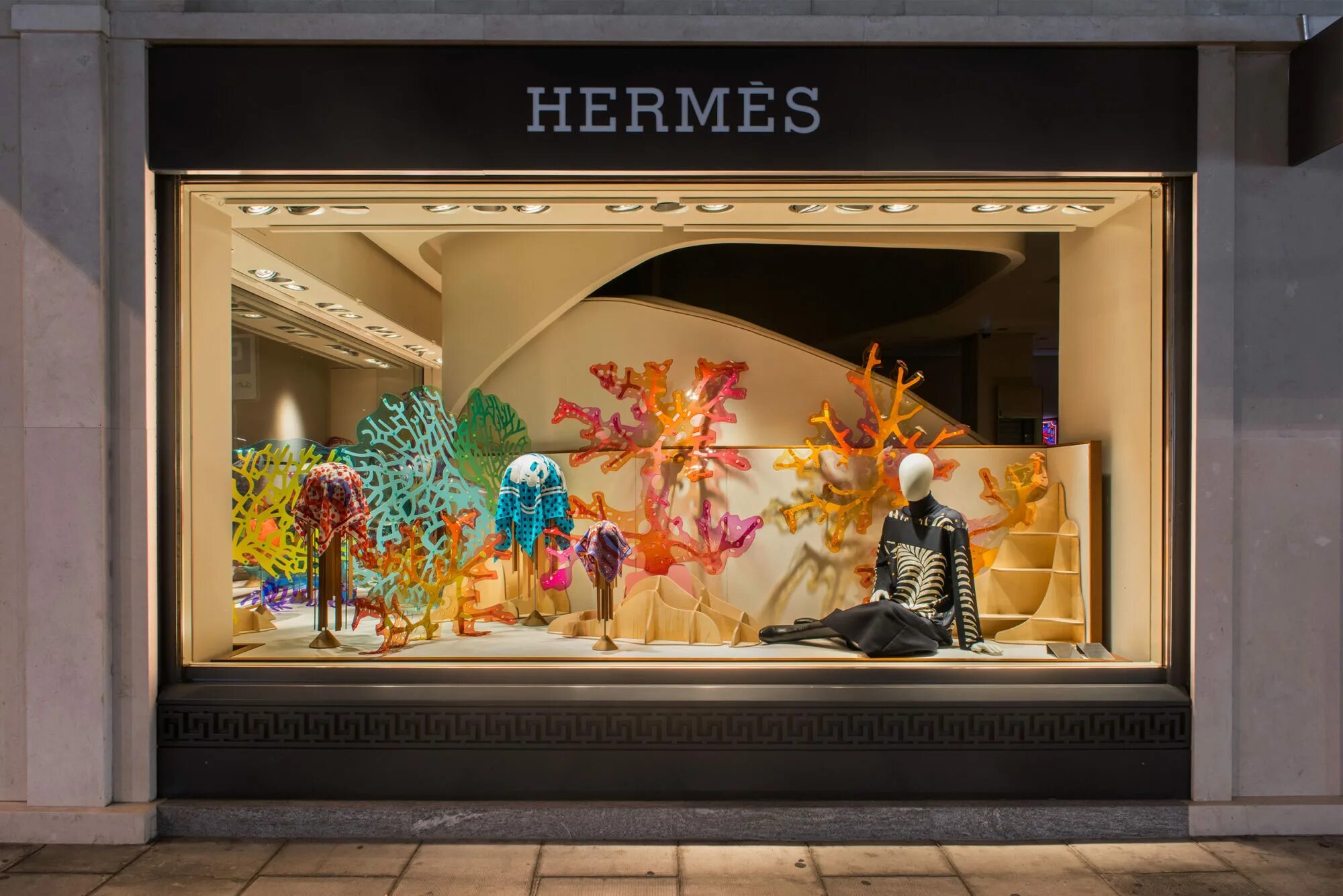 Window display