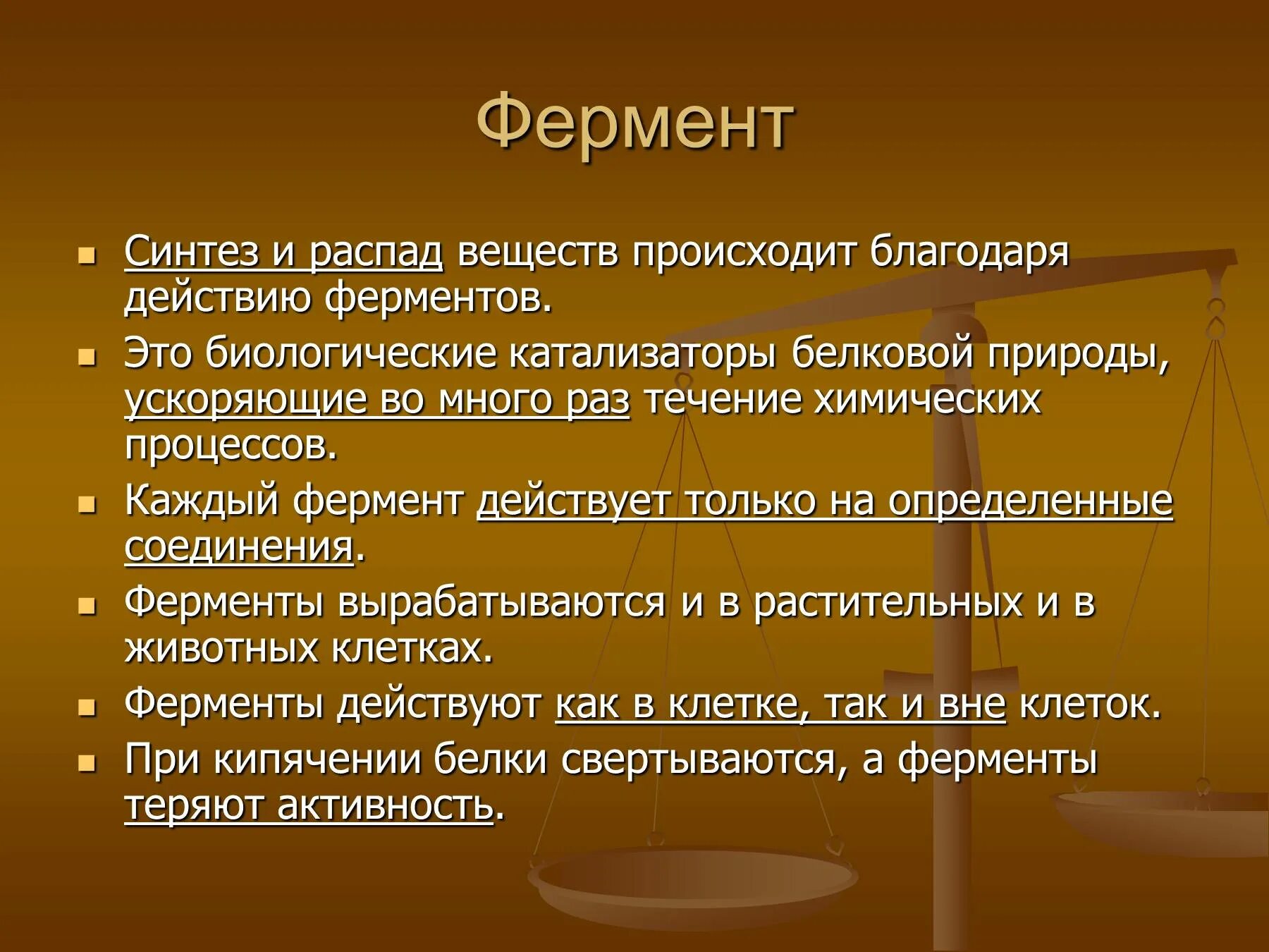 Синтез ферментов. Синтез и распад веществ. Ферментативный Синтез. Где синтезируется фермкнты.