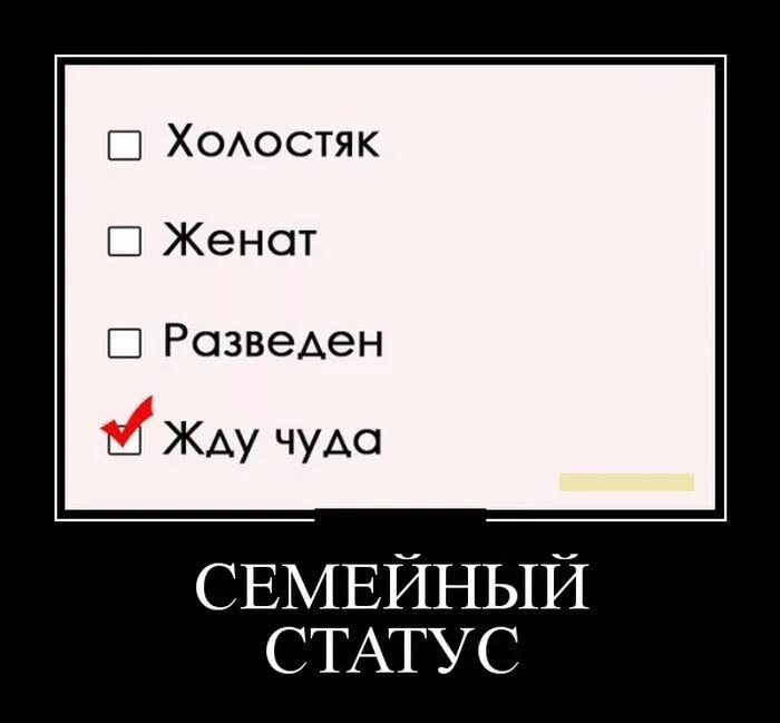 Шутки про холостяков. Я не женат. Цитаты про холостяцкую жизнь. Шутки про холостяков. Семейный статус.