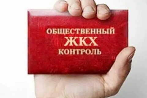 Уполномоченные органы общественного контроля