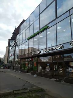 Просвещения 48