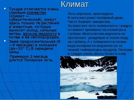 Климат тундры температура