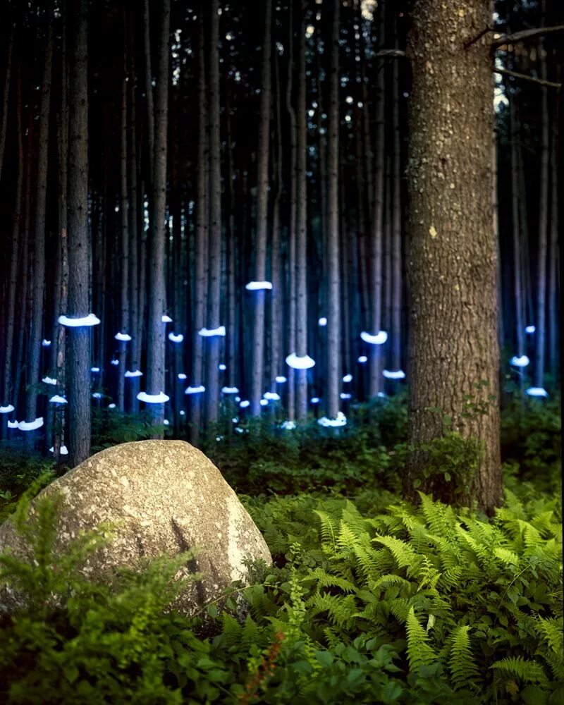 Homebrew Electronics Turn Landscapes Into Unearthly Sci-Fi Scenes Light art inst