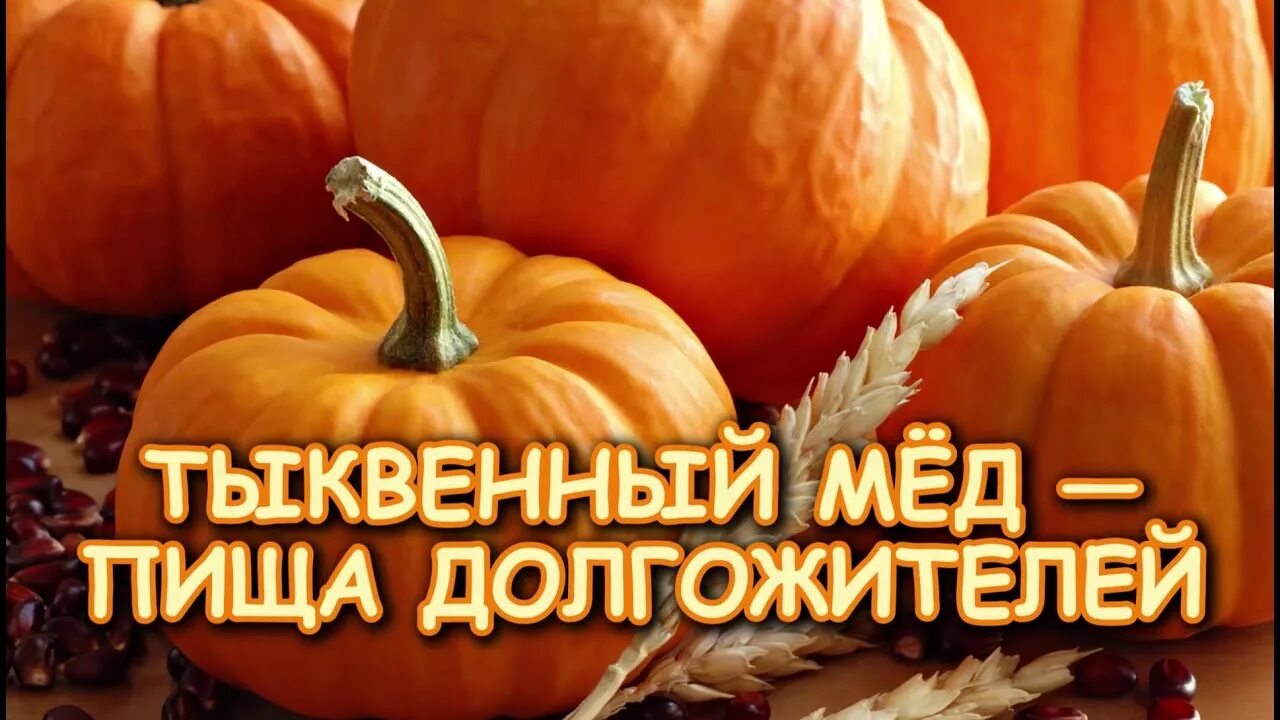 Когда тыквенный спас. Тыква здоровое питание. тыквенный спас.