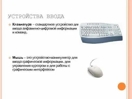 Устройства ввода клавиатура мышь