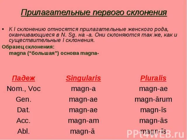 Группы прилагательных в латинском. Склонение прилагательных 1 склонения в латинском языке. Прилагательные 2 склонения латынь. Склонение прилагательных 2 склонения в латинском. Склонение прилагательного латынь.