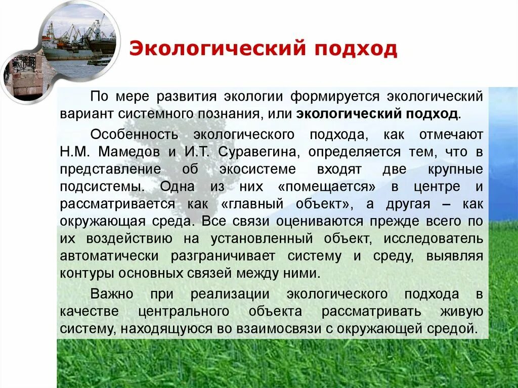 Подходы в экологии. Экологический подход. Экологичный подход. Экологический подход кратко. Экологический подход в биологии.