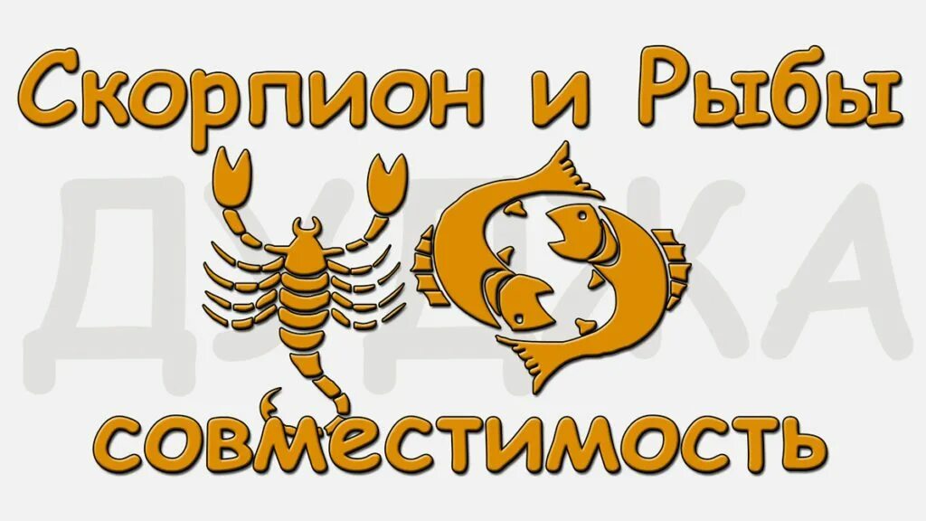 Тигр рыбы совместимость. Скорпион и рыбы совместимость. он рыбы она скорпион. мужчина скорпион и женщина рыбы совместимость. он скорпион она рыбы совместимость.