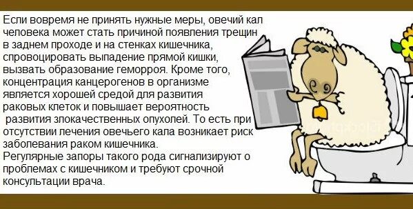 Овечий кал. Овечий стул. Овечий кал причины. Почему овечий кал