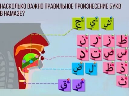 Твердые арабские буквы