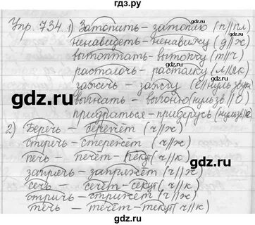 Решебник по русскому 5 класс 2023 год
