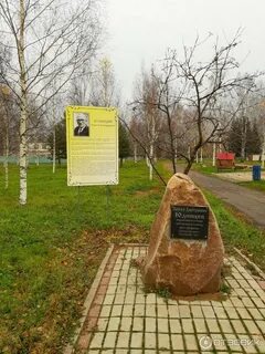 Анонимка тонкино нижегородская
