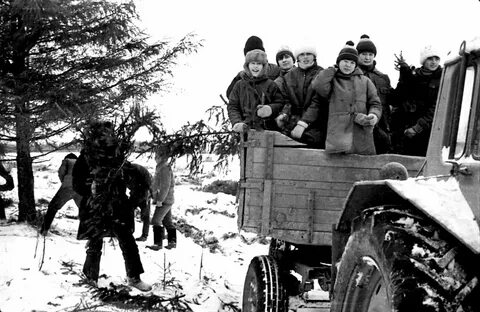 Колхоз путь