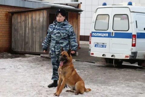 Кинолог тюмень
