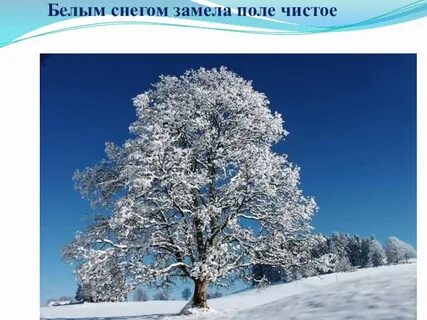 Белым снегом замело